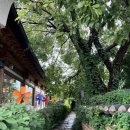 사랑채펜션 | [전주] 한옥마을 숙소 - 사랑나무 한옥 펜션 사랑채 3호실 숙박 후기