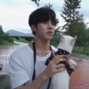 ㄱㅅㄲ같은 일상과 데이식스 팬미팅 티켓팅(예사ㅅㅂㅅㄲ)의 후기