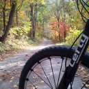 법수치리 120 이미지