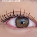 사하구-53 이미지