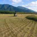 뉴월드코리아 이미지