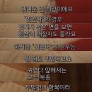 민댕 Daum카페