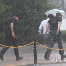소나기