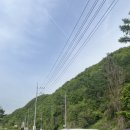 진성농장2 이미지