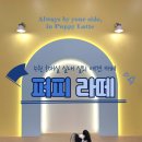 퍼피라떼 이미지