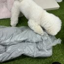 강아지 가죽방석 타미앤제니 부드럽고 내구성강한 반려동물방석