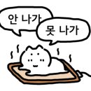 바다로 펜션 이미지