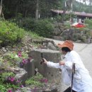 봉황자연휴양림 이미지