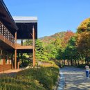 미동산수목원 이미지