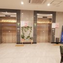 세종덴탈 이미지