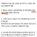 황금고블린 이미지