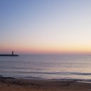 강현면사무소 이미지