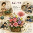 보리사초 이미지