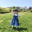 보람아그로 네이버블로그
