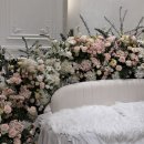 인천광역시 삼산월드체육관 | 부평 삼산 월드컨벤션센터 솔직후기(계약○)