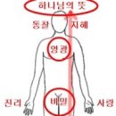 "משפטים" 미쉬파팀 : 새벽기도 토라포션 in 5776 이미지