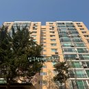 압구정-121 이미지