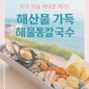 월정 | 제주 구좌 맛집 월정항아리 칼국수 후기｜해물 가득한 제주 칼국수 맛집 추천