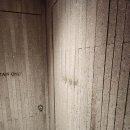 캠프라인 대구산장 아웃도어본부닷컴 | 레이어드컷 맛집? 강남역 미용실 추천!