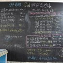 싱싱회 팔팔