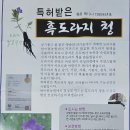 한서SS기
