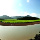 황금들녁 이미지