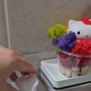 헬로폼폼