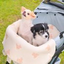 체리쉬펫 | 강아지 유모차 가드 방석 세트 개모차 필수템