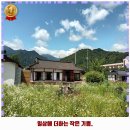 253-2-000003 | 이로동 카페 카페히든 착한 가격과 리뷰는 덤으로 추천 순위까지