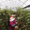 이성순농장 이미지