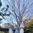 해파랑길 3코스 이미지
