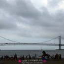 뵈르뵈르부산밀락더마켓점 | 광안리 맛집 카사데타코 부산밀락더마켓점 타코 퀘사디아 솔직후기