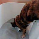 모래울화장실 이미지