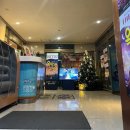 연극 <옥탑방 고양이> | 대구 놀거리 추천 송죽씨어터 연극 옥탑방 고양이 솔직후기