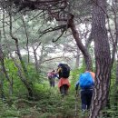 서부(죽산리) | 백장암~투구봉~연비지맥~삼봉산 ~등구재~창원마을