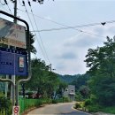 불당골세천 이미지