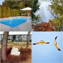 썬댄스펜션 이미지