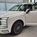 (야간)캘리그래피 | 파주 운정 루마버텍스 팰리세이드 캘리그래피 신차패키지 시공