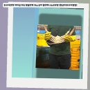 가족 모임에 준비한 러시아산 에이급 자숙 박달대게 3kg 며칠 먹어본 후기