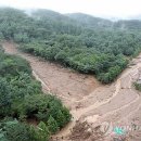 우면산6-3 이미지