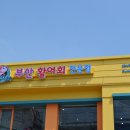 원조부산활어