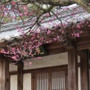 유천헌(柳川軒) | 안동 가볼만한곳, 홍매화로 유명한 미스터선샤인 촬영지 묵계서원과 만휴정