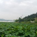 관곡지약국 Daum카페