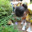 순천자연휴양림 이미지