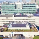 매산로테마거리상점가 이미지