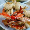 궁리회센타 이미지