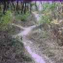 연암공원 이미지