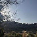 고릴라호텔 | 📍 제주도 여행 후기 그리고 맛집 추천!! 숙성도, 고릴라 모듬 생선구이 (히든클리프,제주신화월드 근처)