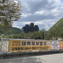 두부명가 네이버블로그