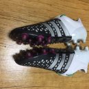 네오엑스 이미지